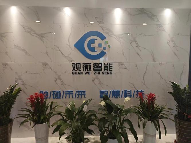 观薇智能:聚焦"ai+健康" 勇当推进中国式现代化"生力军"